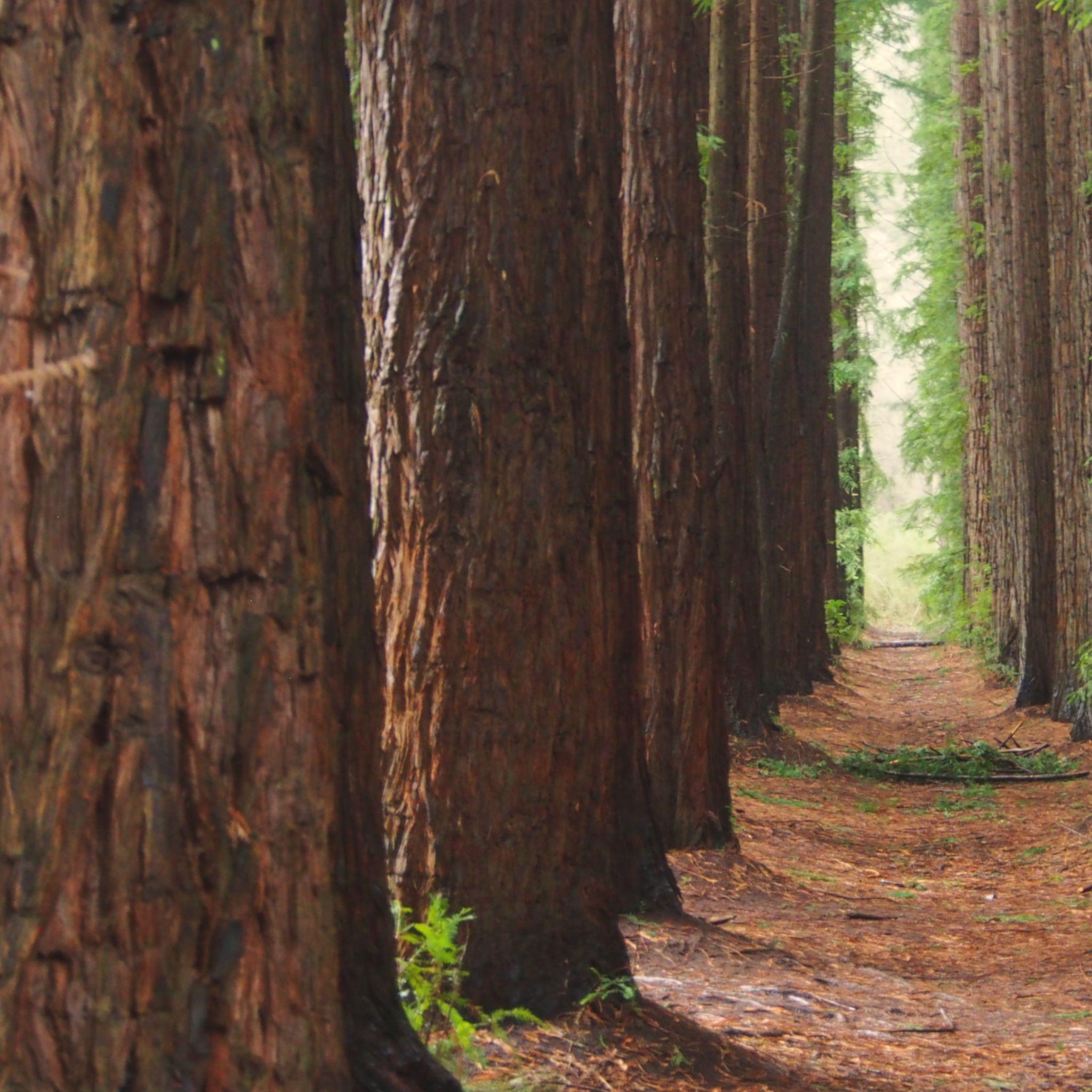 Agriculture & Forestry